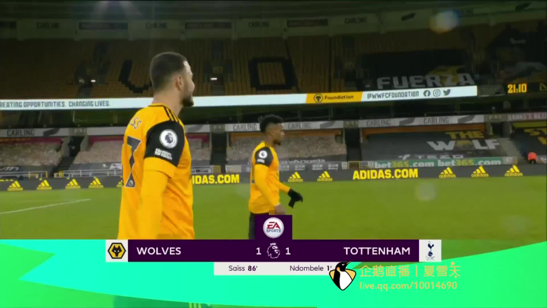 不仅能够激 不仅能够激